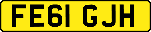 FE61GJH