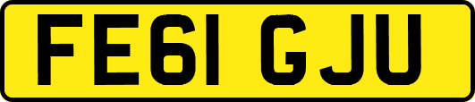 FE61GJU