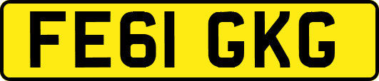 FE61GKG
