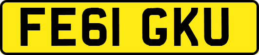 FE61GKU
