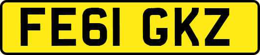 FE61GKZ