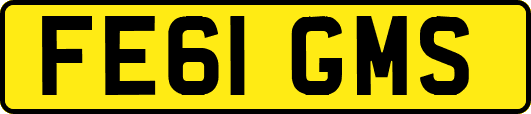 FE61GMS