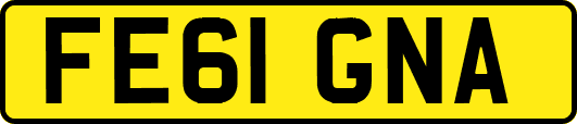 FE61GNA
