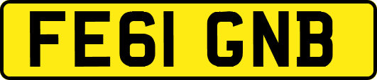 FE61GNB