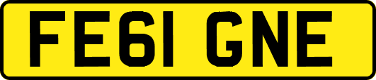 FE61GNE