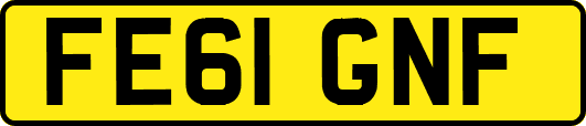 FE61GNF