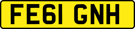 FE61GNH
