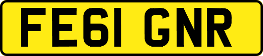 FE61GNR