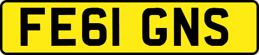 FE61GNS