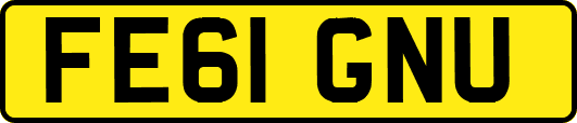 FE61GNU