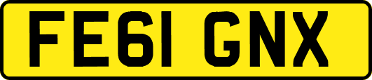 FE61GNX