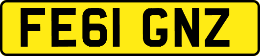 FE61GNZ