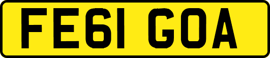 FE61GOA