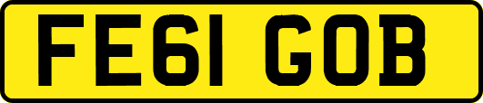 FE61GOB