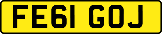 FE61GOJ