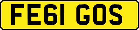 FE61GOS