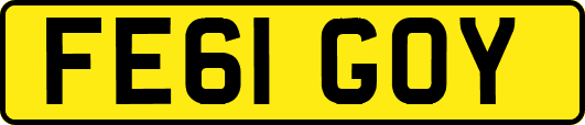 FE61GOY