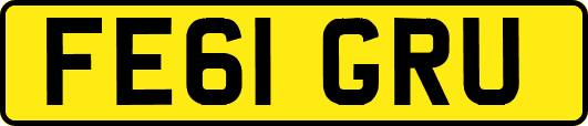 FE61GRU