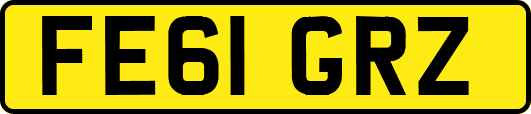 FE61GRZ