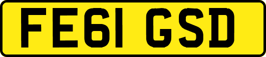 FE61GSD