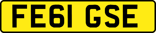 FE61GSE