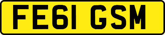 FE61GSM