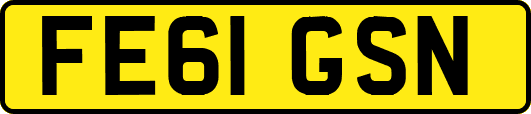 FE61GSN