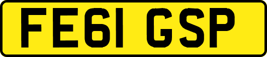 FE61GSP