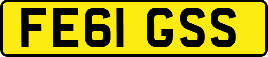 FE61GSS