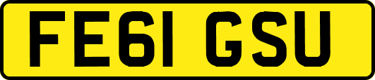 FE61GSU