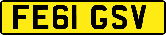 FE61GSV