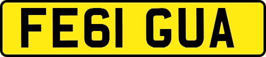 FE61GUA