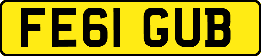 FE61GUB