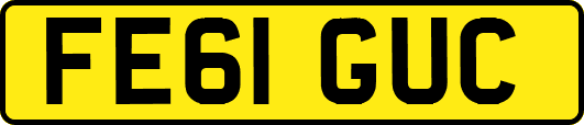 FE61GUC
