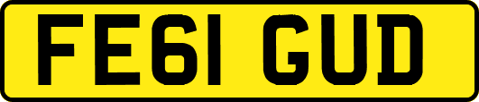 FE61GUD