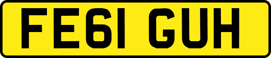 FE61GUH