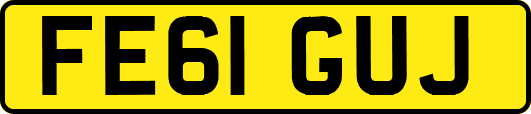 FE61GUJ