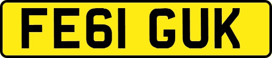 FE61GUK