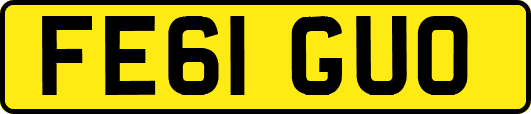 FE61GUO