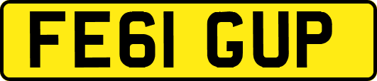 FE61GUP