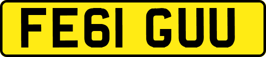 FE61GUU