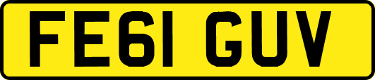 FE61GUV