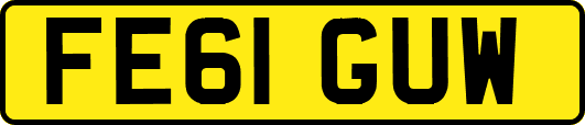 FE61GUW