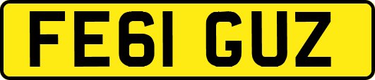 FE61GUZ