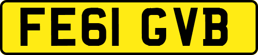 FE61GVB