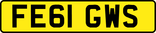 FE61GWS