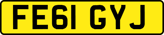 FE61GYJ