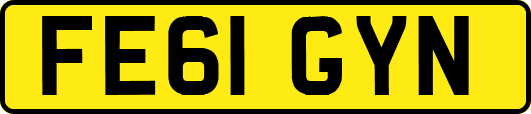 FE61GYN