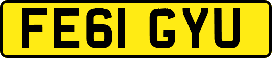 FE61GYU