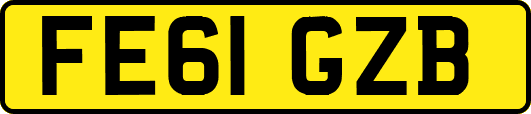 FE61GZB